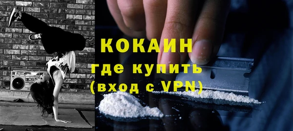 прущие грибы Беломорск