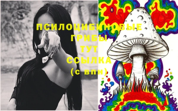 apvp Балабаново