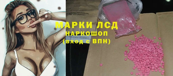 молекула духа Богданович