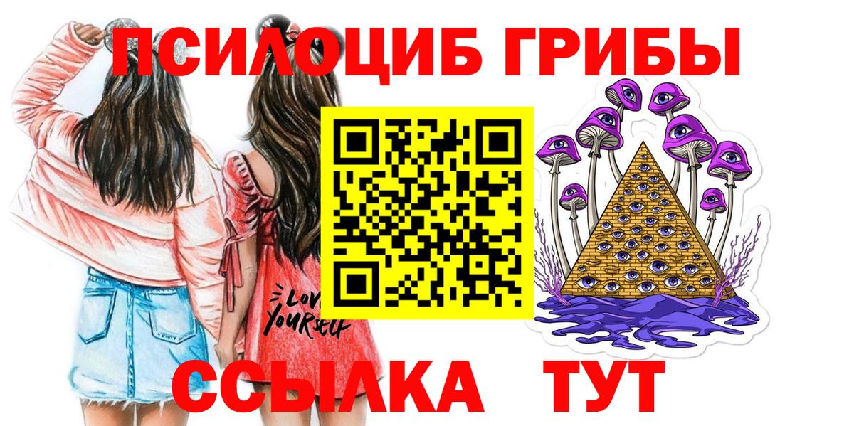 Псилоцибиновые грибы Psilocybine cubensis Городец