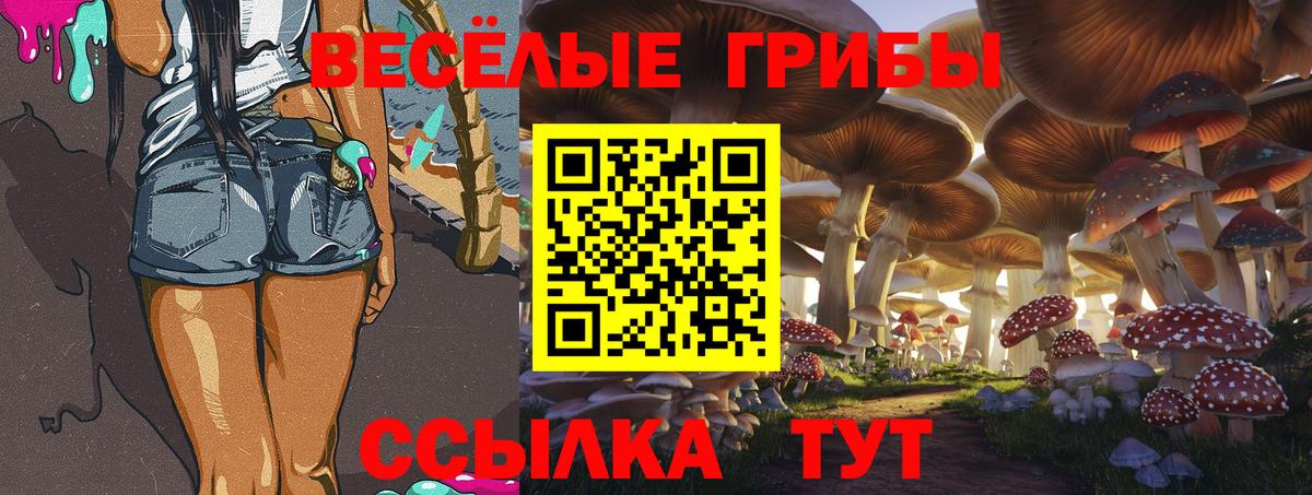 Городец  Галлюциногенные грибы мицелий  Вход с VPN  Псилоцибиновые грибы Psilocybe 